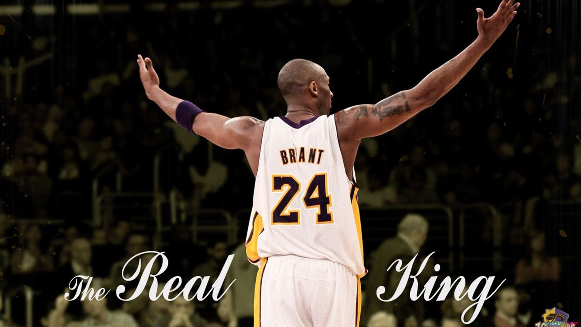 弗朗索瓦·霍尔茨豪伊泽:出色的跑位与无懈可击的防守反应,助力南非队取胜